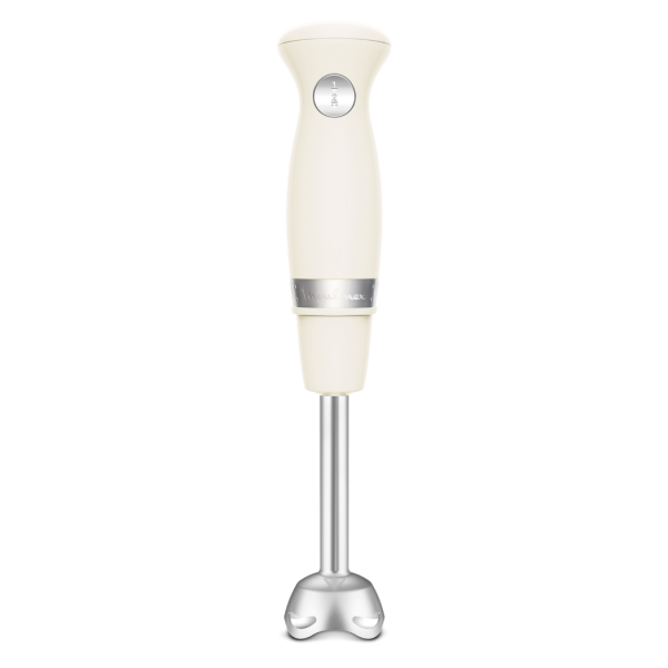 Mixeur Plongeant 450w Moulinex